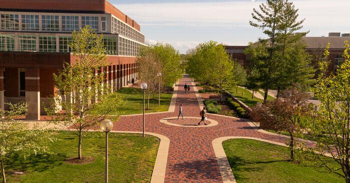 Innovation Grant Leads to Establishment of New Campus Institute